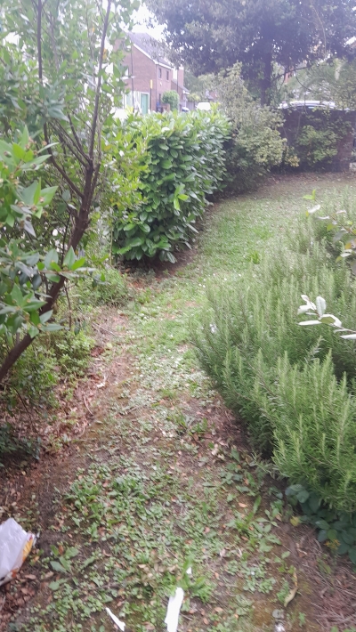1 Bedroom Flat In 
